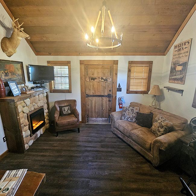 Cozy cabin living room at Creekside Cabin in Walnut Shade MO with stone fireplace, sofa, armchair, mounted TV, and rustic wood door